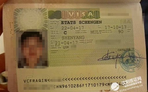 恭喜秦小姐沈阳法国签证代办成功下签